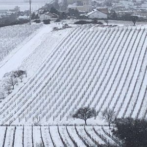 Kirchberg im Winter