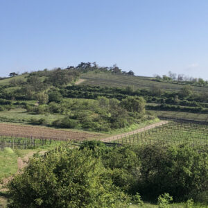 Landschaft am Berg