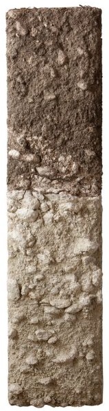 Bodenprofil Kalkstein